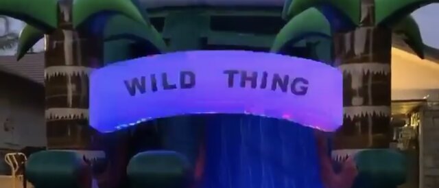 15ft Wild Thing Dual Lane Slide (LED Lights) (Wet/Dry) 15ft Wild Thing Dual Lane Slide (LED Lights) (Wet/Dry)
